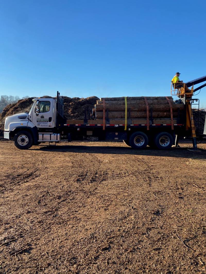 tree services