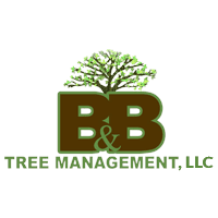 B&B Tree Management