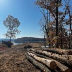 Property Clearing