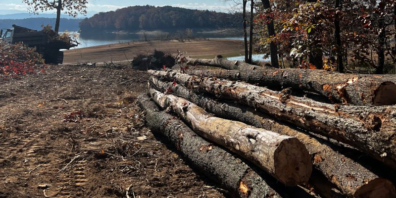 Property Clearing in Maryville, Tennessee
