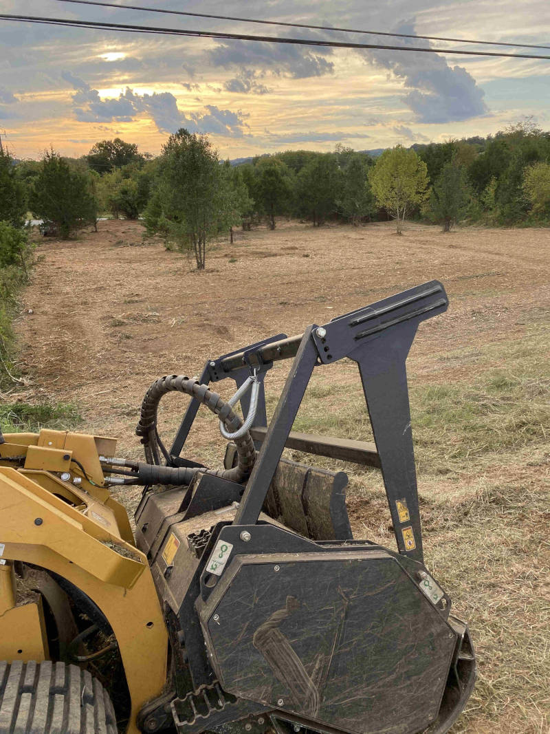 TREE SERVICES
