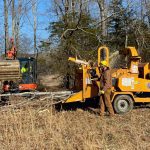 Agricultural Brush Clearing