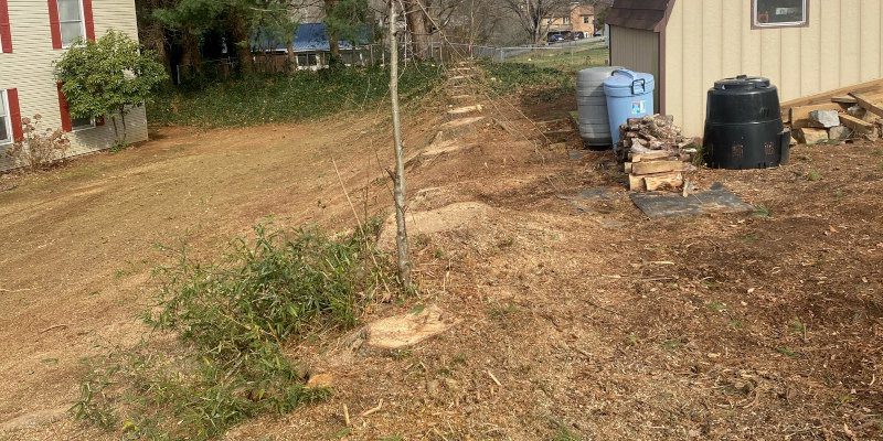 Right Of Way Maintenance in Sevierville, Tennessee