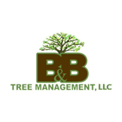 B&B Tree Management Logo